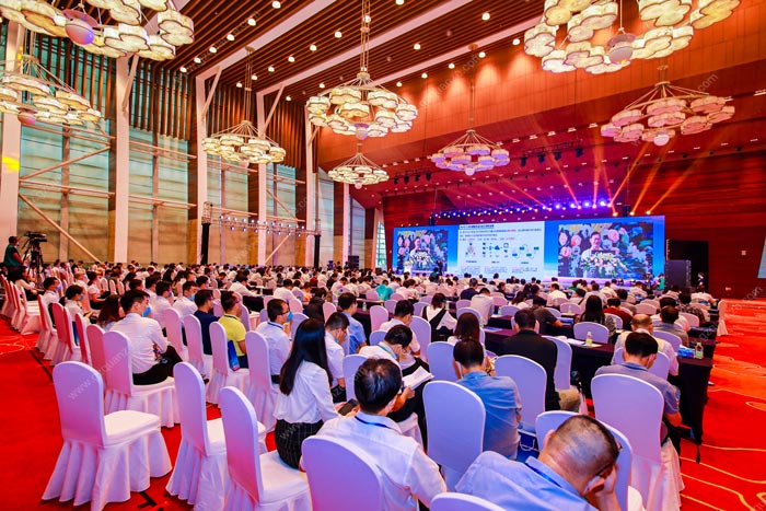 給大家安利一些活動策劃人必備網(wǎng)站
